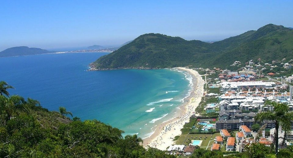 Imagem do Card 1